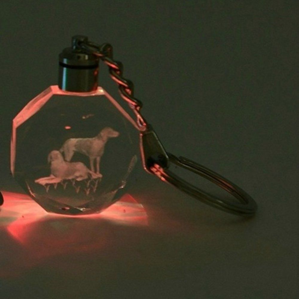 Dog Crystal Key Chain with LED Light
